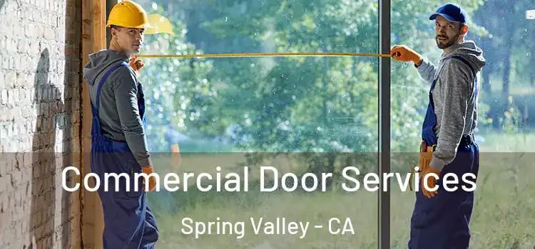  Commercial Door Services Spring Valley - CA