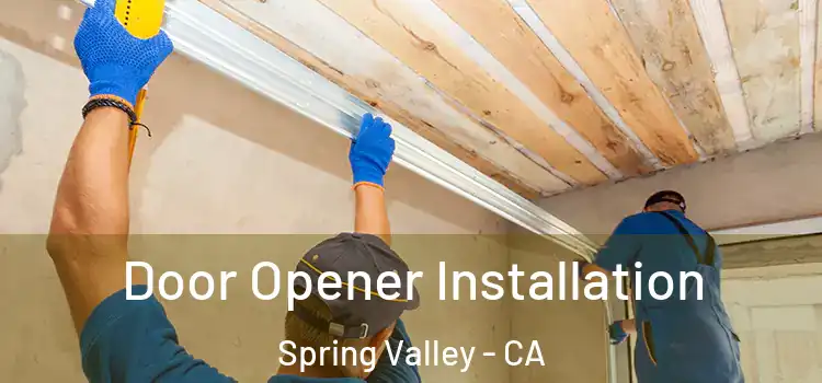  Door Opener Installation Spring Valley - CA