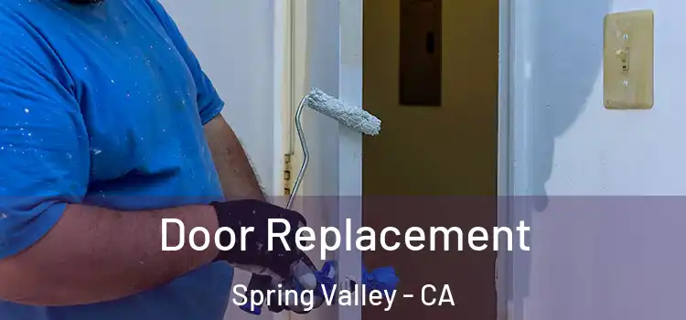 Door Replacement Spring Valley - CA