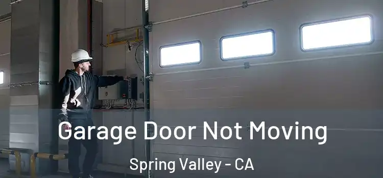  Garage Door Not Moving Spring Valley - CA