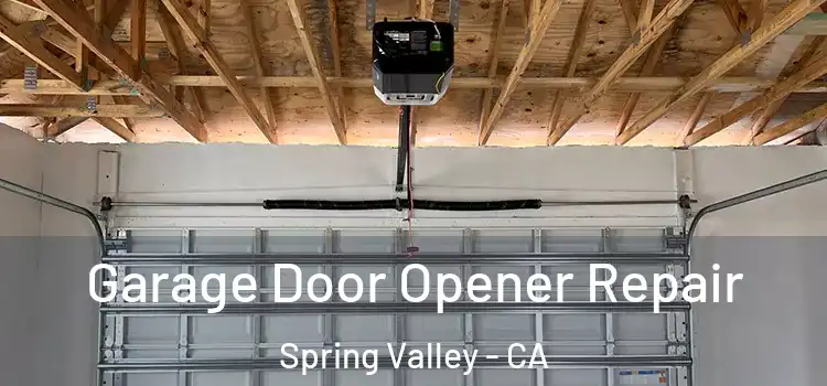  Garage Door Opener Repair Spring Valley - CA
