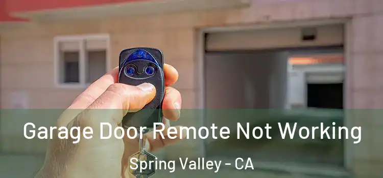  Garage Door Remote Not Working Spring Valley - CA