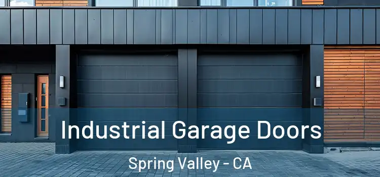  Industrial Garage Doors Spring Valley - CA