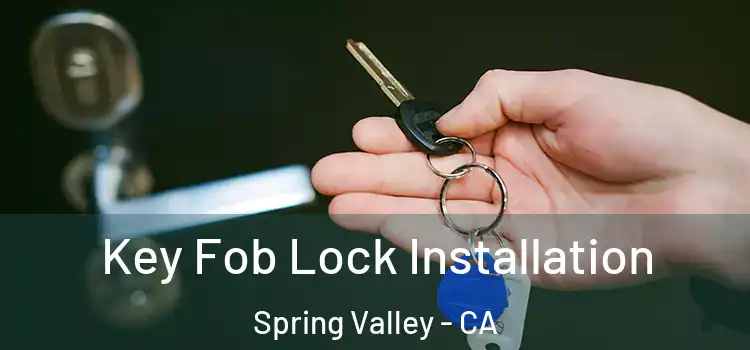  Key Fob Lock Installation Spring Valley - CA