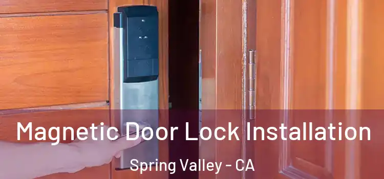  Magnetic Door Lock Installation Spring Valley - CA