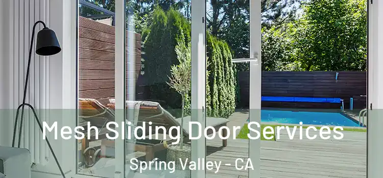  Mesh Sliding Door Services Spring Valley - CA