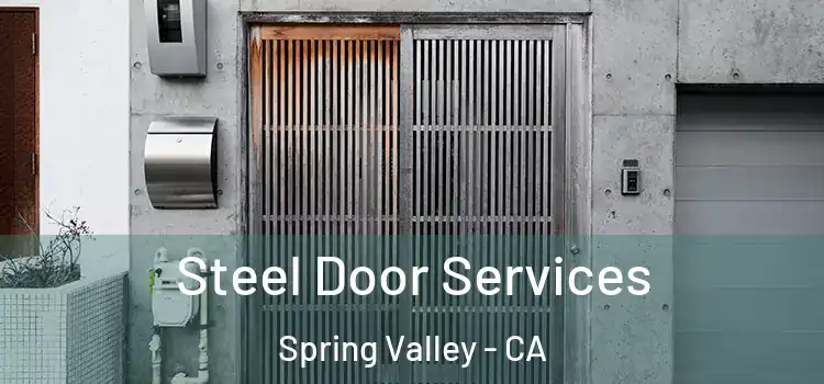 Steel Door Services Spring Valley - CA
